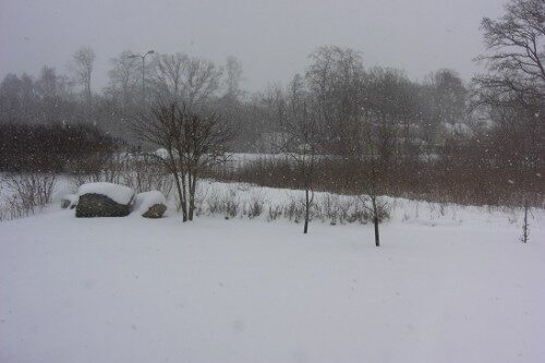 vinter2014
